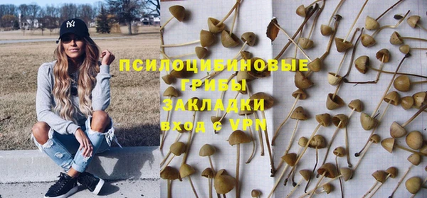 PSILOCYBIN Володарск