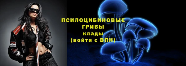 PSILOCYBIN Володарск